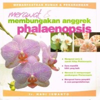 Angrek phalaenopsis