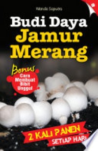 Budidaya jamur merang