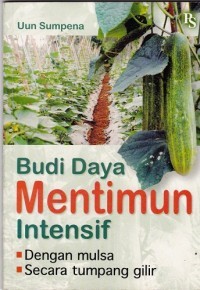 Budidaya mentimun intensif